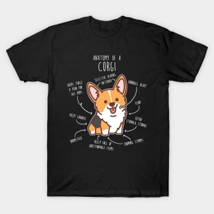 Red Headed Tri Corgi Dog Anatomy T-Shirt